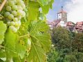 Rothenburg ob der Taube,r Weinberg und Weisser Turm Rothenburg ob der Taube,r Weinberg und Weisser Turm
